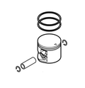 Fumigadora SR 430 / SR 440 / SR 450 , Pistón Ø 48 mm